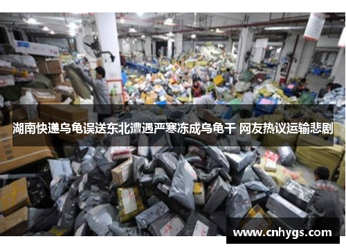 湖南快递乌龟误送东北遭遇严寒冻成乌龟干 网友热议运输悲剧