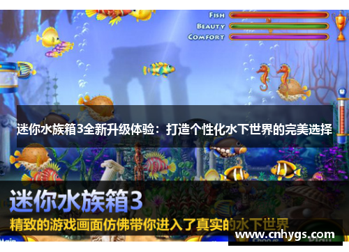 迷你水族箱3全新升级体验：打造个性化水下世界的完美选择